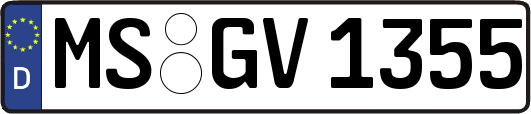 MS-GV1355