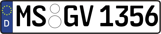 MS-GV1356