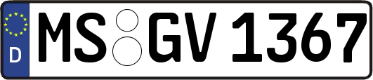 MS-GV1367