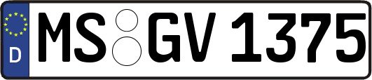 MS-GV1375