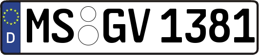 MS-GV1381