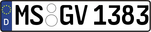 MS-GV1383