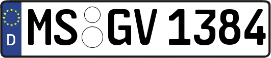 MS-GV1384