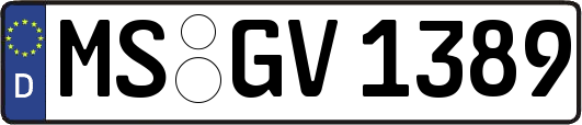 MS-GV1389