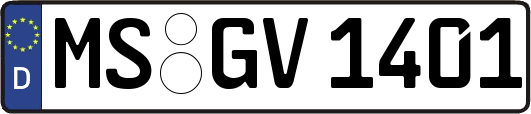 MS-GV1401