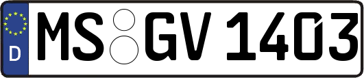 MS-GV1403