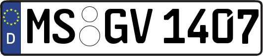 MS-GV1407