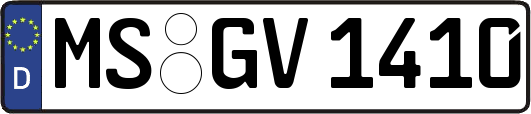 MS-GV1410