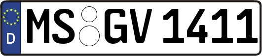 MS-GV1411