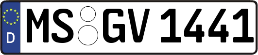 MS-GV1441