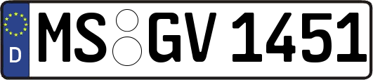 MS-GV1451