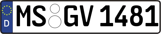 MS-GV1481