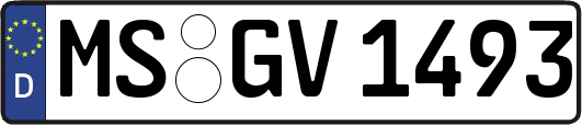 MS-GV1493