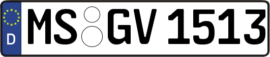 MS-GV1513