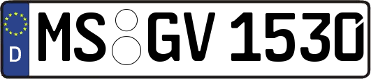 MS-GV1530