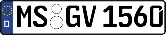 MS-GV1560
