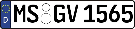MS-GV1565