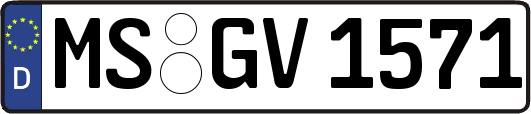 MS-GV1571