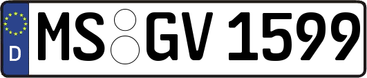 MS-GV1599