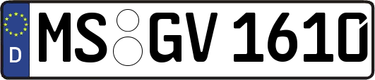 MS-GV1610