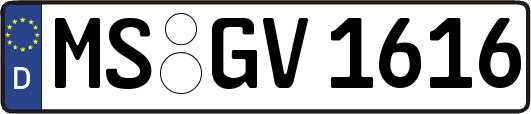 MS-GV1616