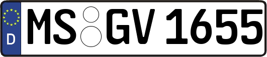 MS-GV1655