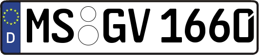 MS-GV1660