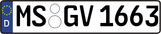 MS-GV1663