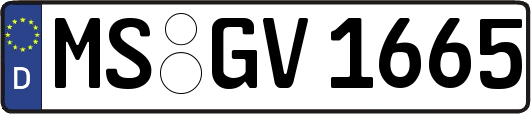 MS-GV1665