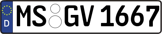 MS-GV1667