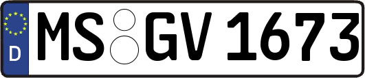MS-GV1673