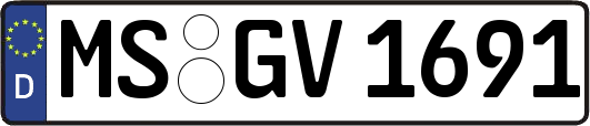 MS-GV1691