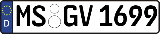 MS-GV1699