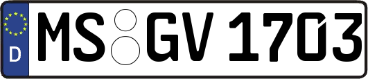 MS-GV1703