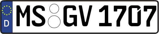 MS-GV1707