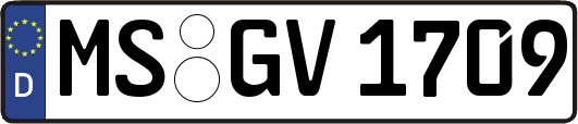 MS-GV1709