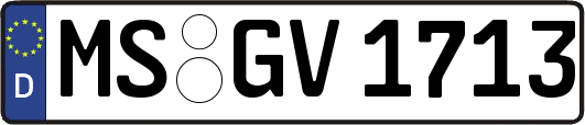 MS-GV1713