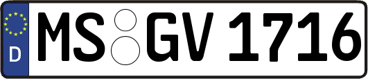 MS-GV1716