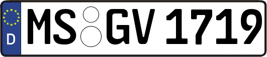 MS-GV1719