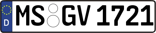 MS-GV1721