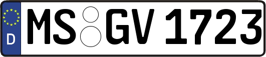 MS-GV1723