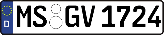 MS-GV1724