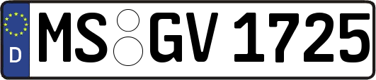 MS-GV1725