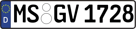MS-GV1728