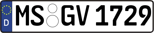 MS-GV1729