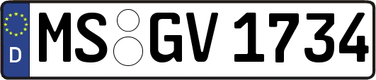 MS-GV1734