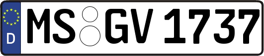 MS-GV1737