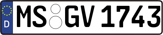 MS-GV1743