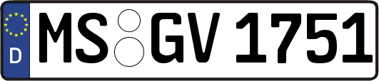 MS-GV1751