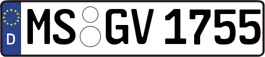 MS-GV1755